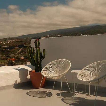 Casa Cactus - Heated Pool And Only 5 Boutique Apartments Icod De Los Vinos Exterior photo