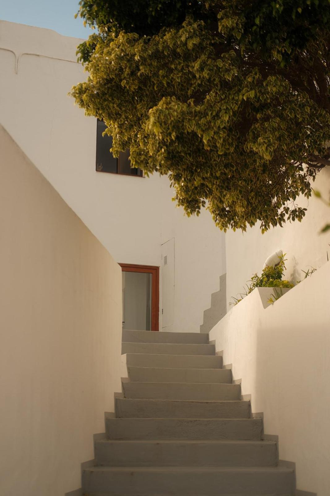Casa Cactus - Heated Pool And Only 5 Boutique