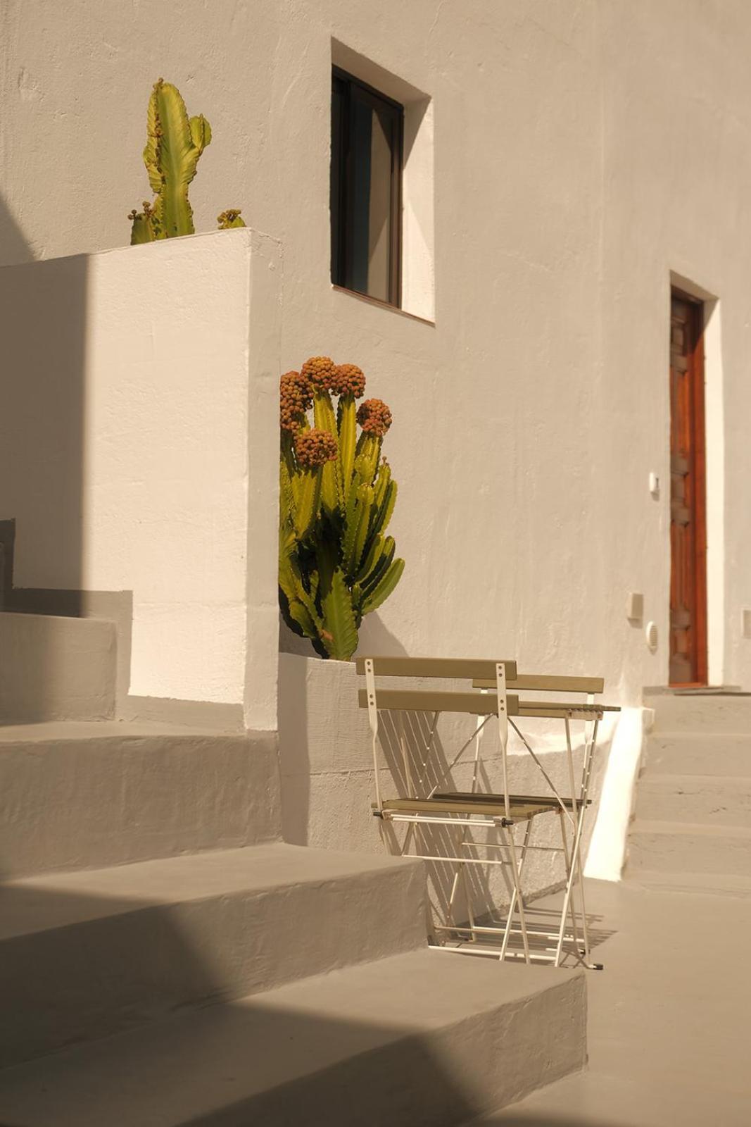 Casa Cactus - Heated Pool And Only 5 Boutique Apartment