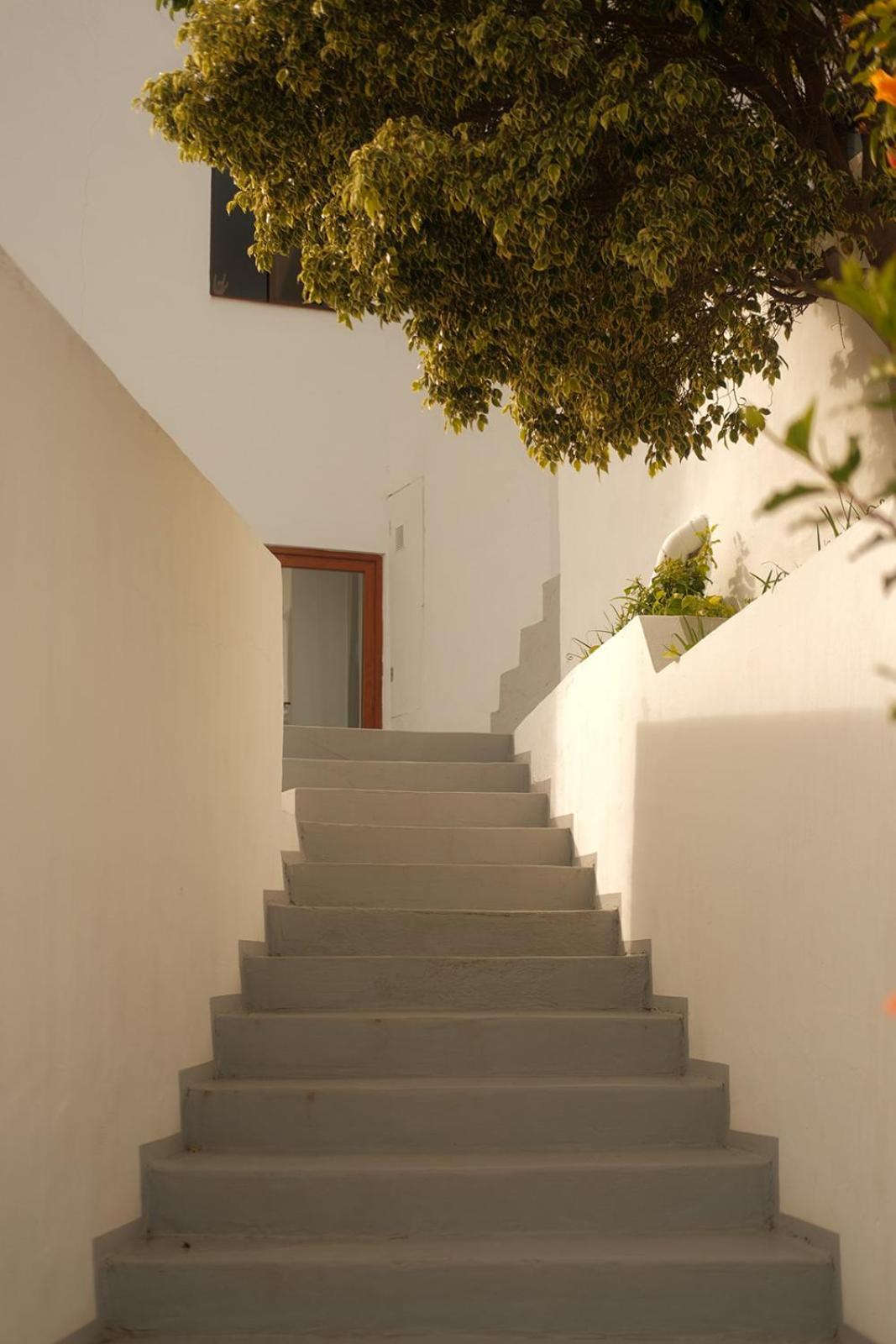 Apartment Casa Cactus - Heated Pool And Only 5 Boutique Icod De Los Vinos